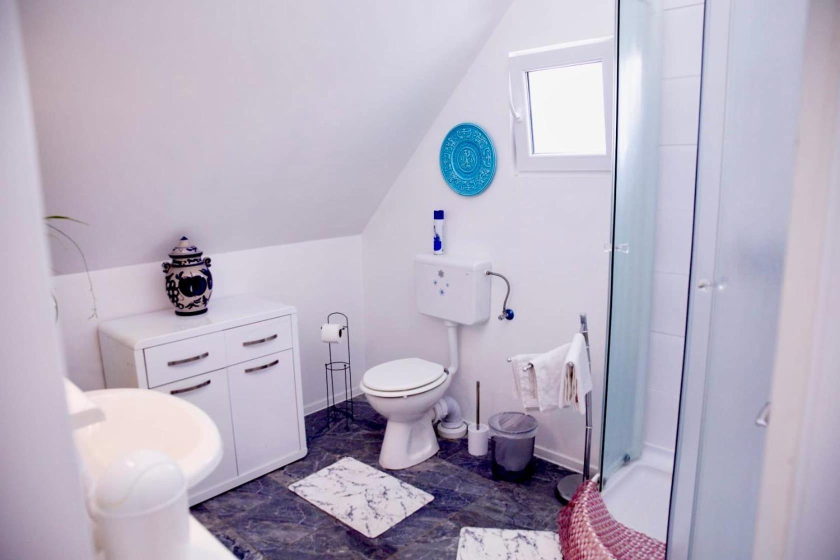 Holiday House Apartments Dajcic Varazdinske Toplice Ngoại thất bức ảnh